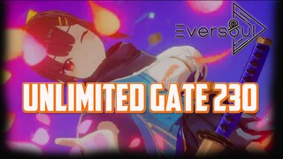 AKI VS UNLIMITED GATE 230 - EVERSOUL