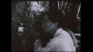 Vĩ Tuyến 17 Ngày Và Đêm (1973) - 17th Parallel, Nights and Days [Full HD Việt Na
