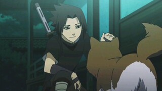 Sasuke sangat menyukai binatang kecil!