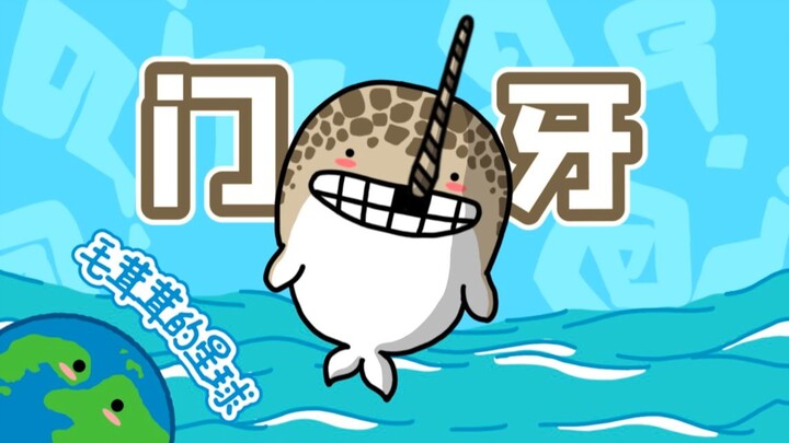 【حوت العنبر】 ما فائدة هذا السن الذي ينمو ليصبح قرناً ضخماً بشكل مبالغ فيه؟