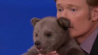 The little bear on the Conan show is so cute