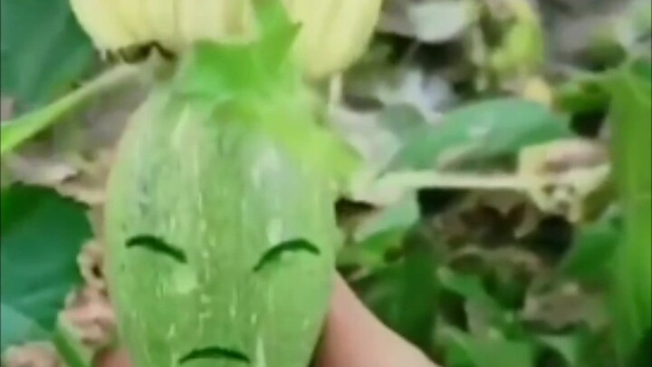 “Close-Up Science” Should at Least Get Three Episodes!