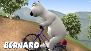Bernard Bear _ Mountain Biking AND MORE