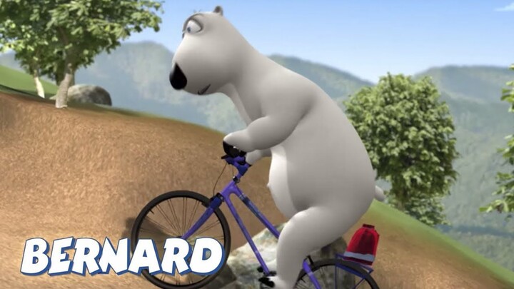 Bernard Bear _ Mountain Biking AND MORE