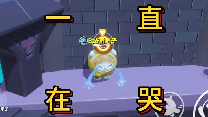 【ฟักทองบุก】ร้องไห้ไม่หยุด! แมวน้อยกล้วยกรอบ!!