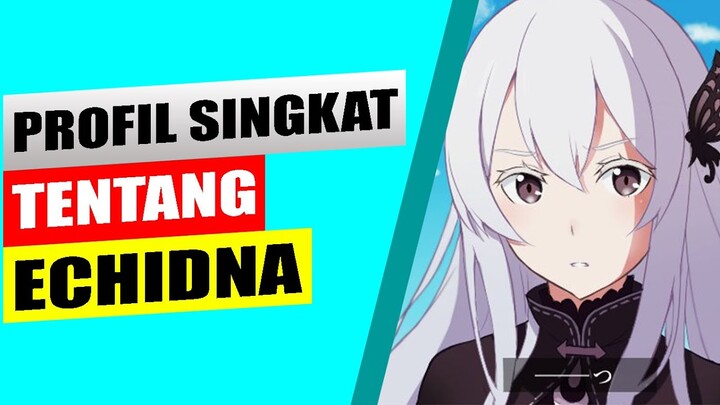 Profil singkat tentang Echidna - BAHAS ANIME
