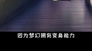 【精灵宝可梦】盘点可以改变属性宝可梦