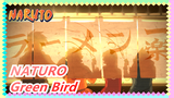 NATURO|[MinTea]Band Playing-Green Bird -Give you a different sense of listening!