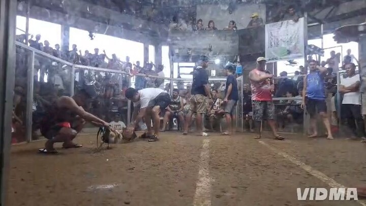 2x winner grey hatch. draw sira ang laro sa native😅