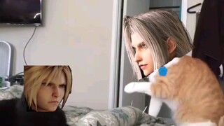 Sephiroth và Cloud, hahaha cỏ