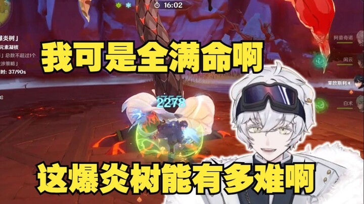 [Genshin Impact Bear] How hard can the Blazing Tree be? The numbers are off—can’t deal any damage at