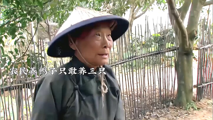Vì một đoạn trích mà xem hết cả bộ phim
