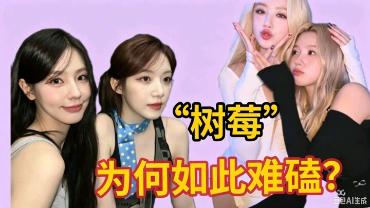 A Deep Dive into the Relationship Between Zhao Meiyuan and Ye Shuhua / Why Is It So Hard to Ship The