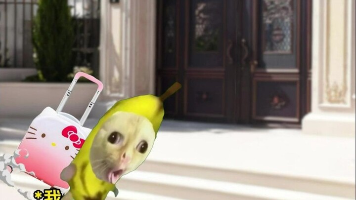 Being a total freeloader, kicked out of home