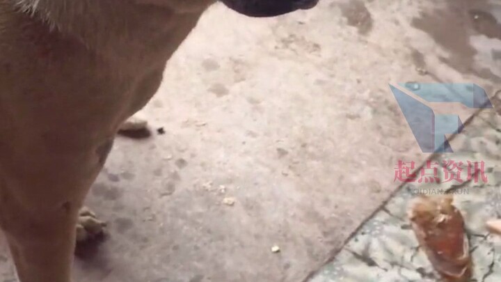 它很清楚自己的位置但很多人却不清楚