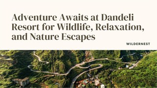 Adventure Awaits at Dandeli Resort for Wildlife, Relaxation, and Nature Escapes