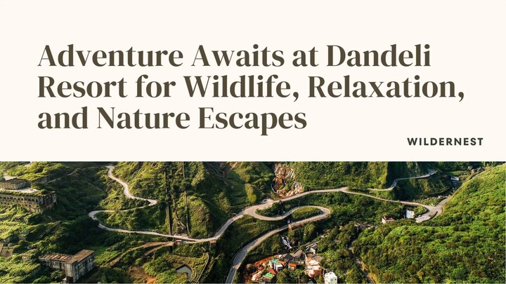 Adventure Awaits at Dandeli Resort for Wildlife, Relaxation, and Nature Escapes