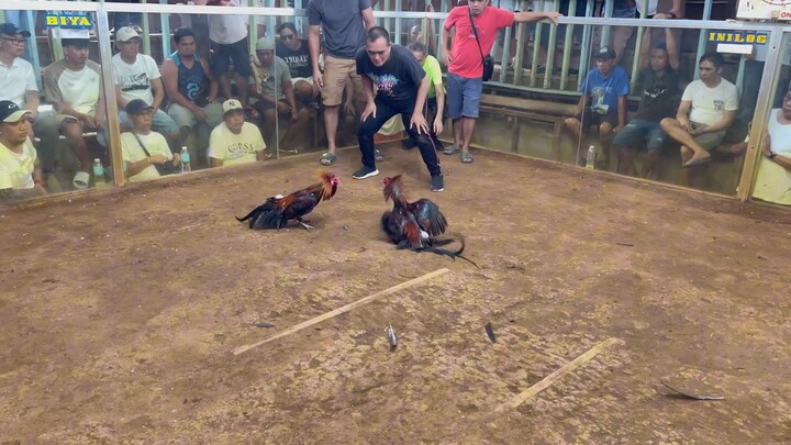 Champ 3Wins Balingoan Cockpit Arena (2nd Fyt) Entry Name: J Sunga GameBird