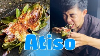 Ẩm Thực Hài Hước: Bông Atiso Nướng Siêu Cay (Grilled Stone Food)