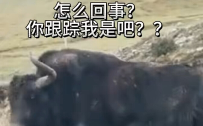 【王杰影视】更新了一条视频，快来围观！