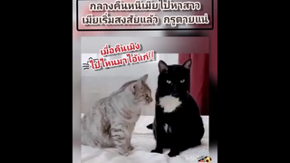 เลิกลั่กแล้ว1🤣🤣