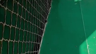 Jingjing really loves the new quilt; she adores it!