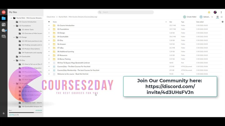 Rachel Rofe - Mini Income Streams