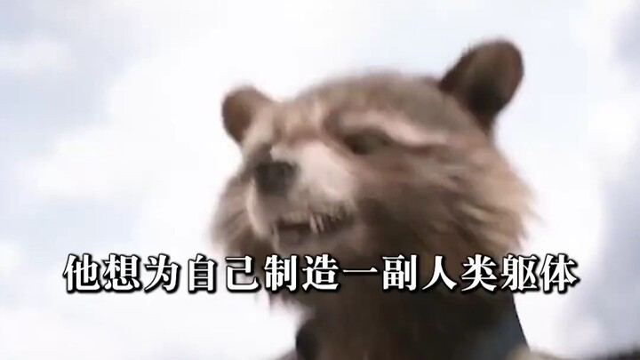 Why does Rocket Raccoon keep collecting prosthetic limbs?