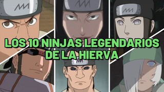 Los 10 ninjas MAS FUERTES de la aldea de la Hierva (KUSAGAKURE) 🍥🍥