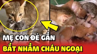 Hai mẹ con ĐẺ GẦN NHAU, bà ngoại sơ hở là ÔM NHẦM cháu ngoại về ổ 😂 | Yêu Lu