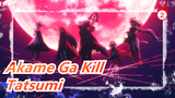 Akame Ga Kill| Di pertempuran terakhir, teriakkan Tatsumi, dengan jiwa membaramu!!!_2