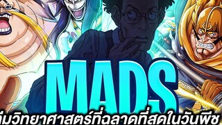 เจาะผลงาน MADSทีมวิทยาศาสตร์ที่ฉลาดที่สุดในวันพีช!