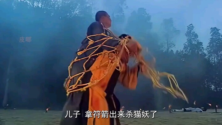 《凶猫》童年的回忆！