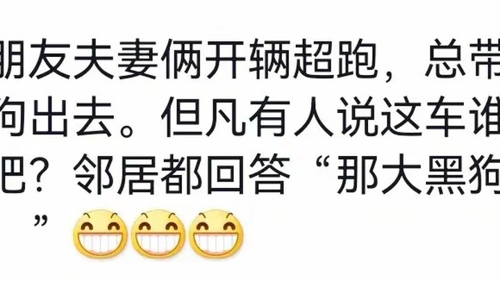 Vòng giao tiếp của chó rộng đến đâu? 🤣