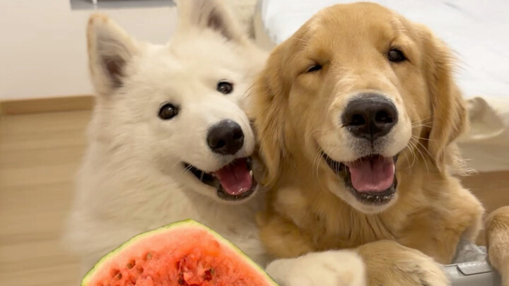 Only when I grew up did I realize the sky won’t fall just because you make a mistake.