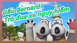 Gấu Bernard |1-24 Trò đua xe nguy hiểm