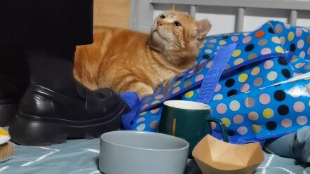 Snoring while you sleep means you’re grounded from staying over!