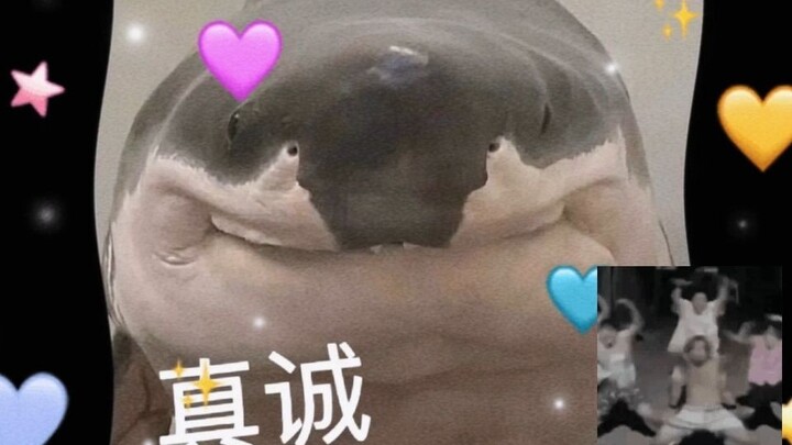 Kenapa hiu ini punya dua wajah?