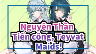 Nguyên Thần| Tiến công, Teyvat Maids!