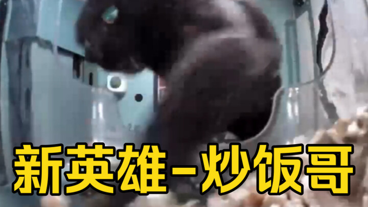 Anh Cơm Chiên: Này cô bé, có muốn nếm thử cơm chiên do anh làm không?