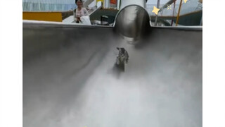Kitten: Thank you for taking me to the slide