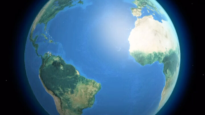 你看看这像什么？一大西洋树枝666