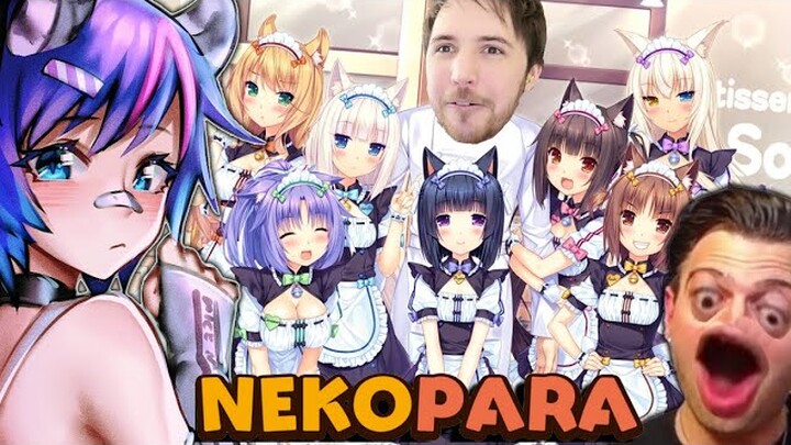 WE MEET ALL THE NEKOS! - Ep 4 Nekopara Highlights - (Feat. Projekt Melody and Nagzz21)