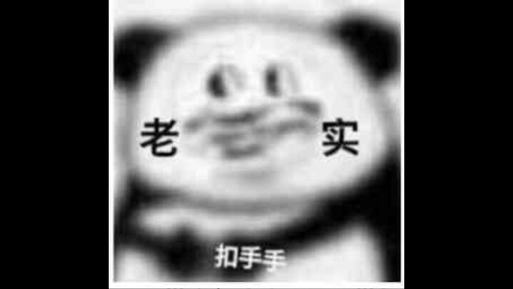 Do you have your own commuting buddy?