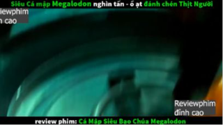 siêu cá mập p2 #reviewphimdinhcao