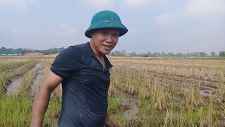 Bảo vệ đi bắt chuột.một mà 17 con vui quá
