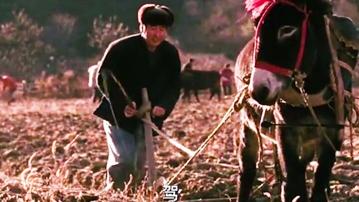 Watch and See, Episode 2