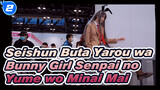 Seishun Buta Yarou wa Bunny Girl Senpai no Yume wo Minai
Mai_2