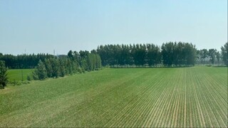 混合廃棄物磁気熱分解エネルギー変換装置の機能