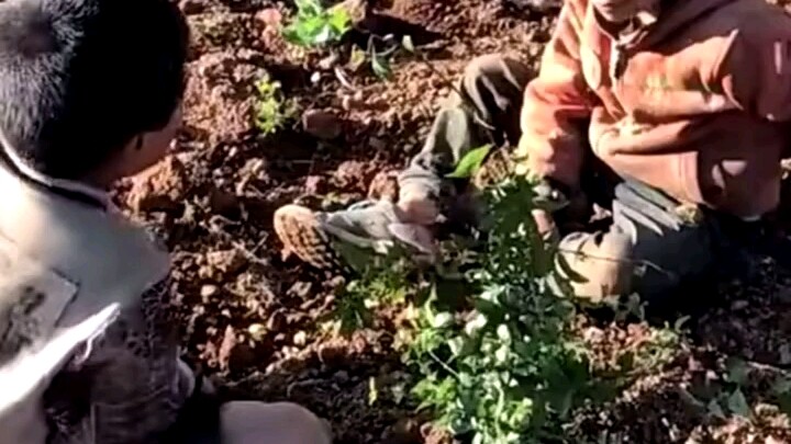 Seorang pria sejati, kalau sudah berani bertaruh harus berani menerima kekalahan.